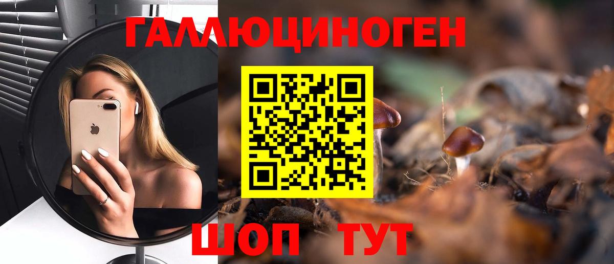 магазин продажи наркотиков  Псилоцибиновые грибы прущие грибы  Вход с VPN  Чебоксары 